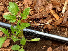 Емітерна крапельна стрічка Dual Drip 16-15-23 1300 м (1,2 л/год), фото 4