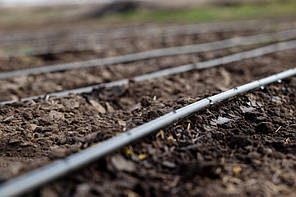 Емітерна крапельна стрічка Sunstream 6 mil 1,6 л/год 30 см 2700 м, фото 3