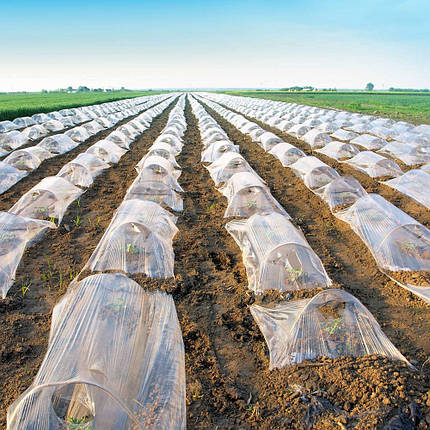 Мульчувальна плівка прозора Пластмодерн 30 мкм 1х1000 м (6 місяців), фото 2