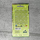 Майоран Материнка звичайна Фея 0,1 г насіння пакетоване Велес, фото 2