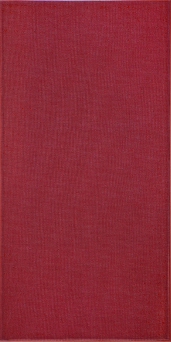 Плитка облицювальна Атем Silk M 250*500