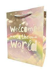 Пакет Подарунковий 038 Welcom to the world Градієнт 23х18 см МАЛЕНЬКИЙ