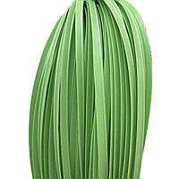 Кант кедер 08мм колір салатовий (боб 100м) KS