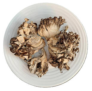 Гриб МАЙТАКЕ (Грифола курчава), цілий, сушений, 100гр.