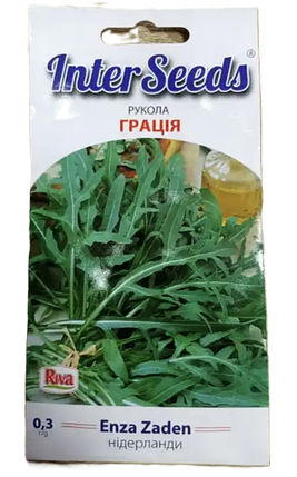 Насіння Рукола Грація, 0,3 г, Enza Zaden, Нідерланди, фото 1