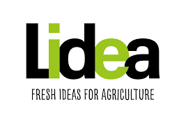 Насіння соняшнику Лідеа (Lidea)