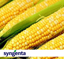 Фуріо, Syngenta