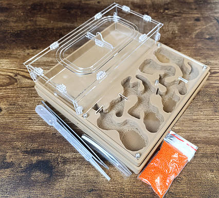 Мурашина ферма "Мега Мрія"