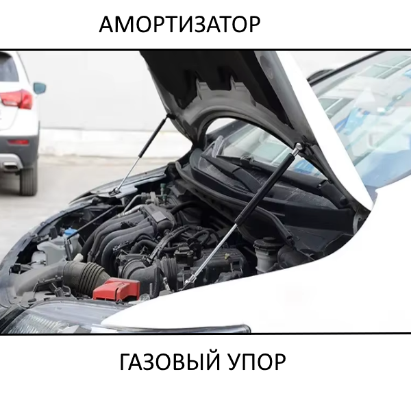 bezimennij_1.png