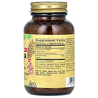 Boswellia Resin Extract Solgar 60 капсул, фото 2