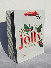 Новорічний пакет  23,5 см х 18 см х 8 см Jolly holiday
