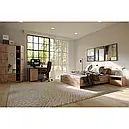 Пенал REG1D у вітальню/офіс з ЛДСП Шанталь Gerbor Дуб сан-ремо світлий, фото 3