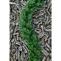 Гірлянда 2 м новорічна лита Зелена Traditional HVOYA (2153N/200/G)