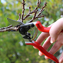 Набір: Секатор Felco / Фелко 6 + точильний інструмент Felco 906 (Швейцарія), фото 3