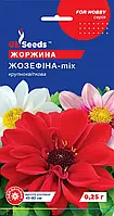 Георгіна Жозефіна суміш життєрадісна великобарвна розкішна квітка d — 16 см, пакування 0,25 г