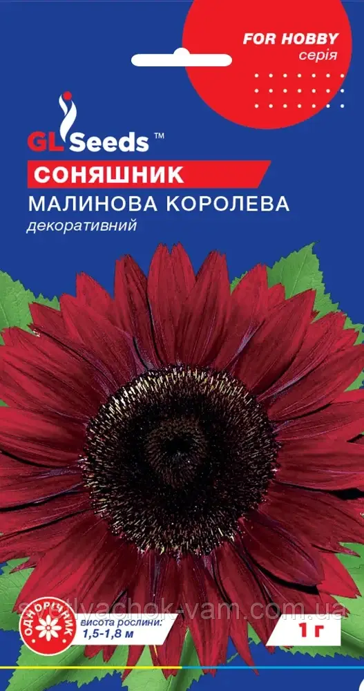 Соняшник Малинова Королева новий розкішний сорт-гігант із великими кошиками, пакування 1 г
