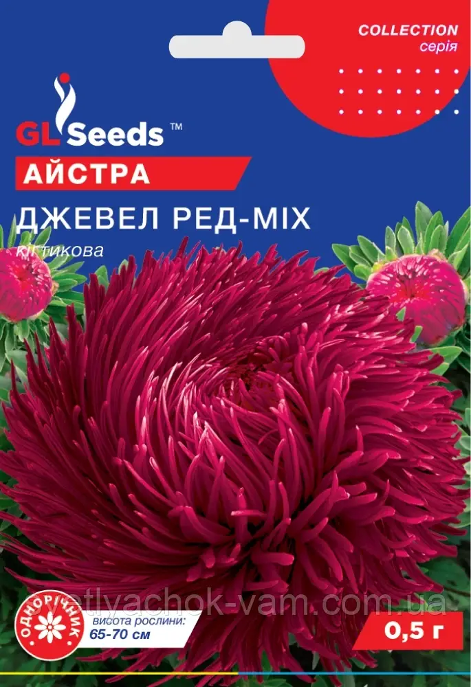 Астра Джевел Ред кігтикова супермодна великобарвна суцвіття діаметром 12-14 см, пакування 0,5 г