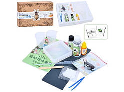 Набір для творчості комаха, пінцет, фарба, застигаюча рідина,склянки FG231102006M ТМ METR