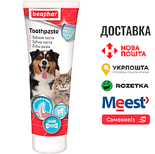 Зубна паста Beaphar Toothpaste для собак та котів, 100г