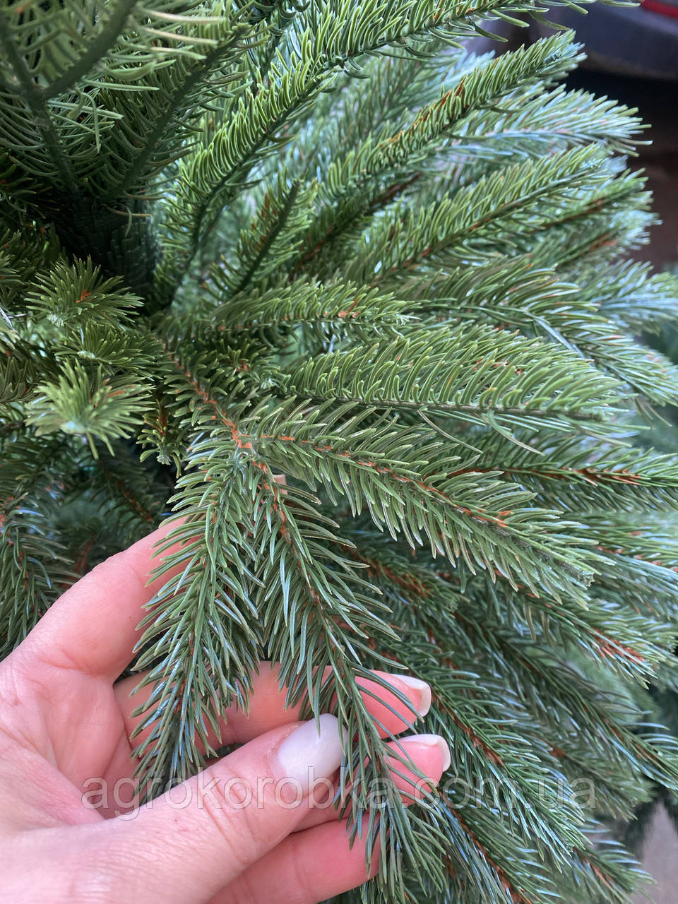 ЯЛИНКА ЛИТА СМЕРЕКА Зелена 1.8 м штучна ПРЕМІУМ - фото 1 - id-p1072242101