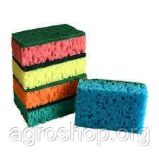 Губка кухонна  5 шт., (в асортименті)