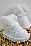 Уггі дитячі, white18, фото 3