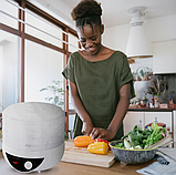 Сушарка, дегідратор для фруктів та овочів Esperanza EKD002 (250 Вт, напівавтоматична, 5 секцій), фото 4