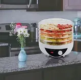 Сушарка, дегідратор для фруктів та овочів Esperanza EKD002 (250 Вт, напівавтоматична, 5 секцій), фото 5