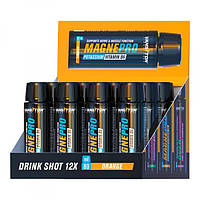 Мінеральний комплекс Magnepro drink shot box (12 х 80 мл) Вансітон
