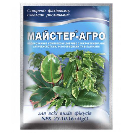 Мінеральне добриво Майстер-Агро для фікусів 25г