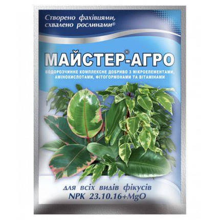Мінеральне добриво Майстер-Агро для фікусів 25г, фото 1