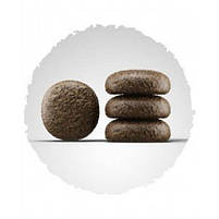 Сухий корм для вибагливих собак JoseraFestival з лососем на вагу, 1000 г, фото 2