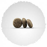 Сухий корм для собак Josera Mini Junior для цуценят та дорослих собак дрібних порід з качкою та лососемна вагу, 1000 г, фото 2