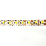 Світлодіодна LED стрічка 5V 2835/120 IP20, Білий 6000-6500К, фото 3