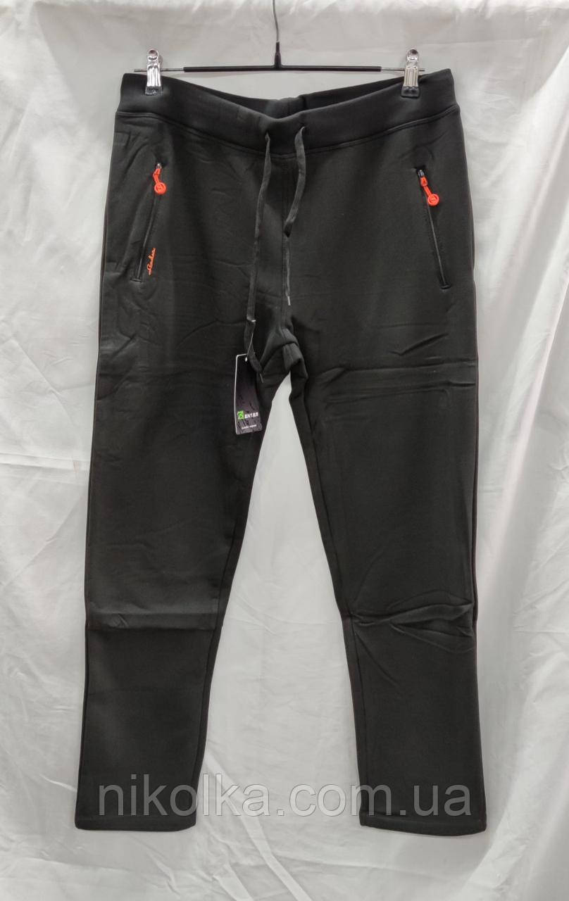 Спортивні утеплені штани для жінок оптом, XL-4XL рр., арт. Si-46486