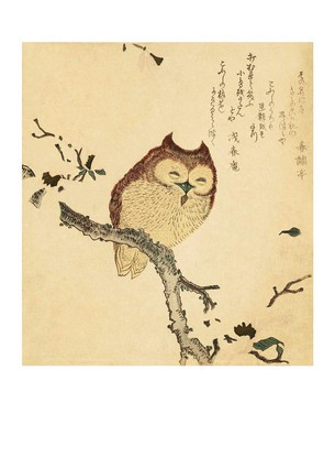 Листівка Японське мистецтво - Horny Owl on a Blossoming Magnolia Branch