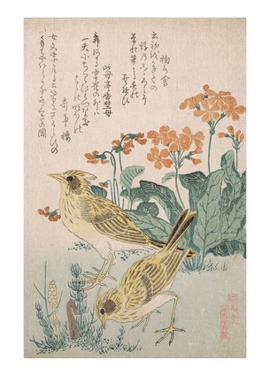 Листівка Японське мистецтво - Larks and Primrose, 1805-1810