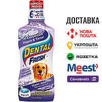 Жидкость от зубного налета и запаха из пасти собак и кошек SynergyLabs Dental Fresh Advanced 503 мл