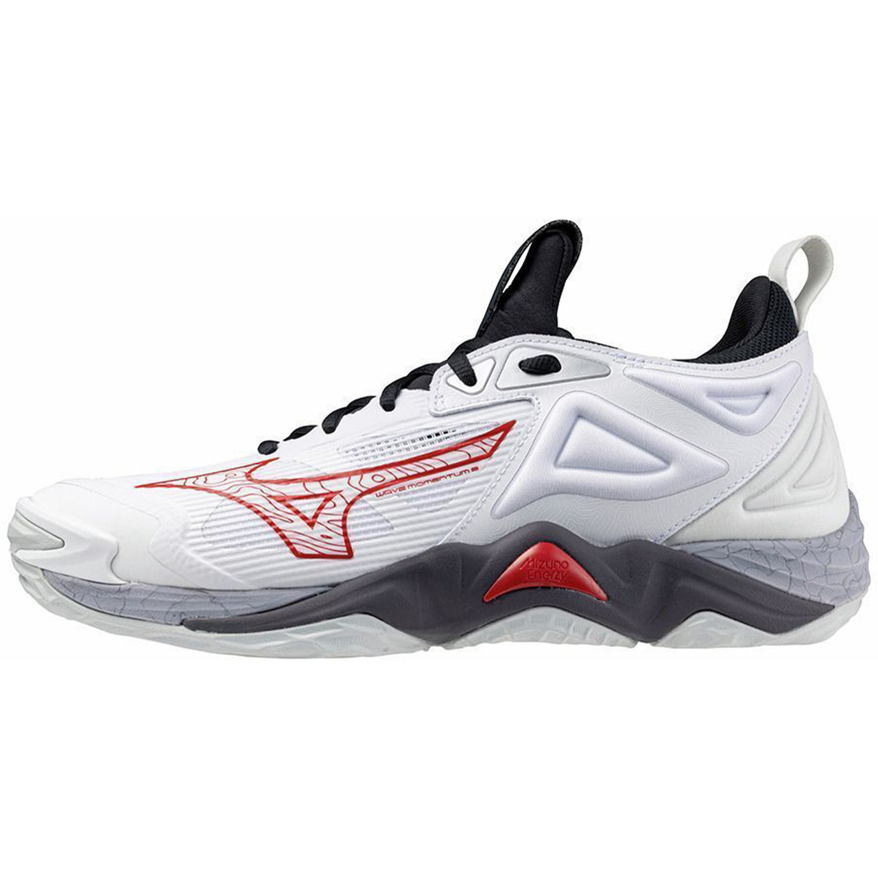Кросівки для волейболу чоловічі Mizuno Wave Momentum 3 V1GA2312-96