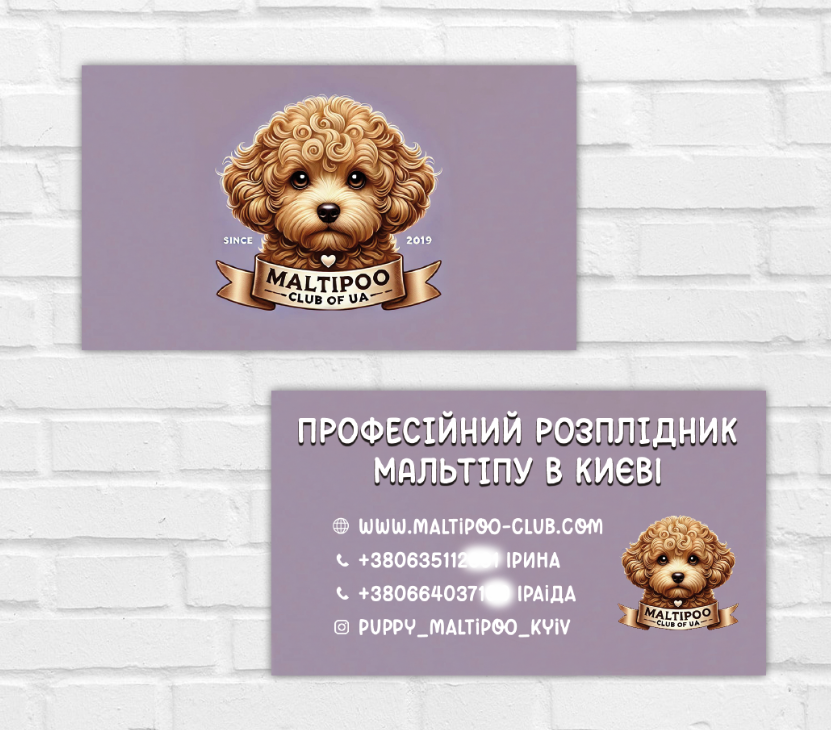 Візитка - розплідник мальтіпу