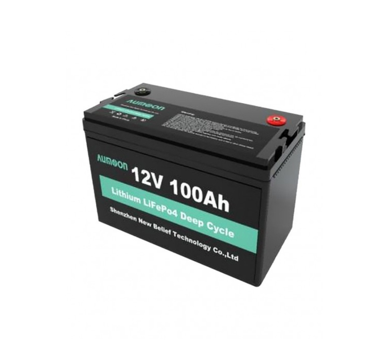 Акумулятор LUMOON LiFePO4 12,8V- 100 Ah (1,28 КВт) BMS 100A, для ДБЖ