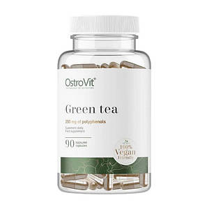 OstroVit Green Tea 250 mg 90 caps