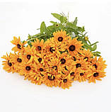 Рудбекія махрова Голділокс 0.1г / Hem Zaden, фото 4