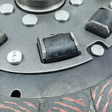 Диск зчеплення МТЗ керамік на резинках (пр-во Венгрія), фото 6