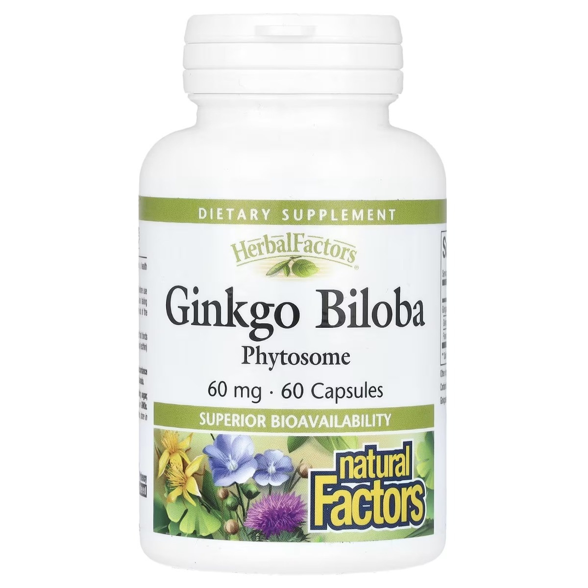 Гінкго білоба, фітосоми, 60 мг, Ginkgo Biloba, Phytosome, Natural Factors, 60 капсул, фото 1