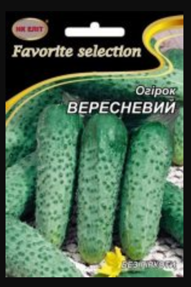 Насіння Огірок середньостиглий сорт Вересневий 5 г НК Еліт
