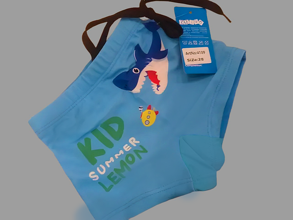 Шорты-плавки детские Z.Five 4109 голубой (В НАЛИЧИИ ТОЛЬКО  36 УКР р-ры), фото 1