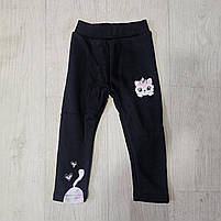 Лосини утеплені для дівчат оптом, S&D, 1-5 років, № CH-7169, фото 7