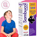 Sambucol JUNIOR сироп для дітей і дорослих 120 мл Бузина чорна, фото 3