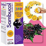 Sambucol JUNIOR сироп для дітей і дорослих 120 мл Бузина чорна, фото 4